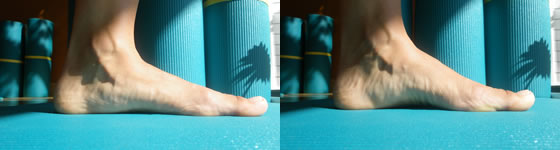 Short Foot by Janda Physiotherapy and Pilates in Cascais