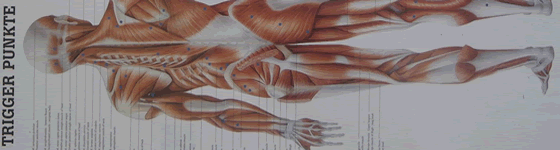 Trigger Point Therapy Physiotherapy and Pilates in Cascais